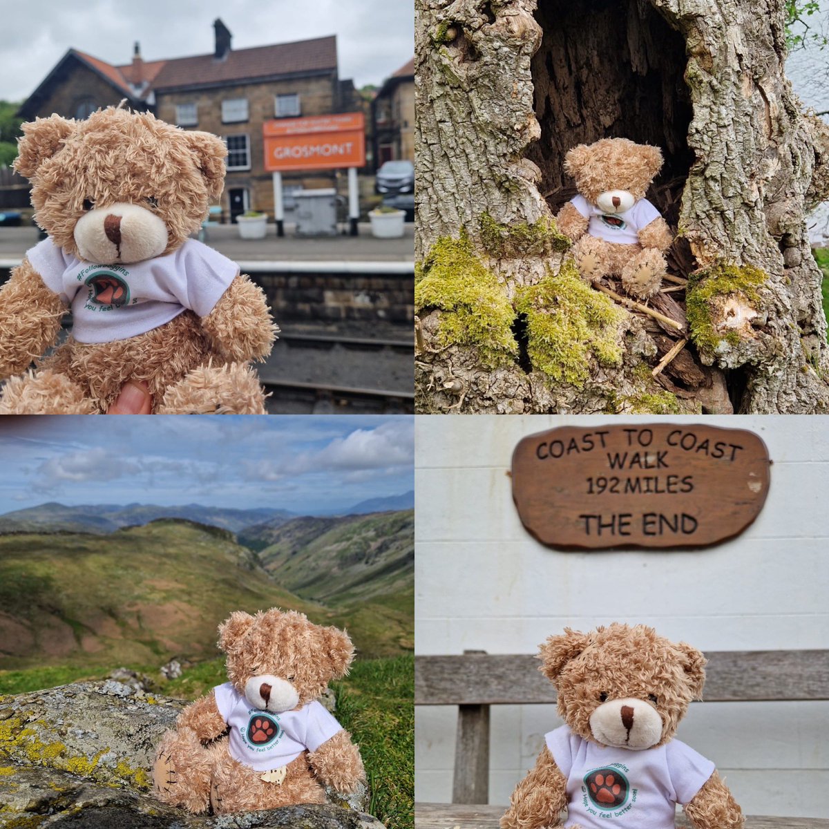 Baggins has been a busy bear this week and has managed to complete the coast to coast walk!What have you all been getting up to with your Baggins? We would love to see! #followbaggins #bradfordbaggins #coasttocoast #whereisbaggins? #🧸@BTHFTCharity @BTHFT @bthftpaeds