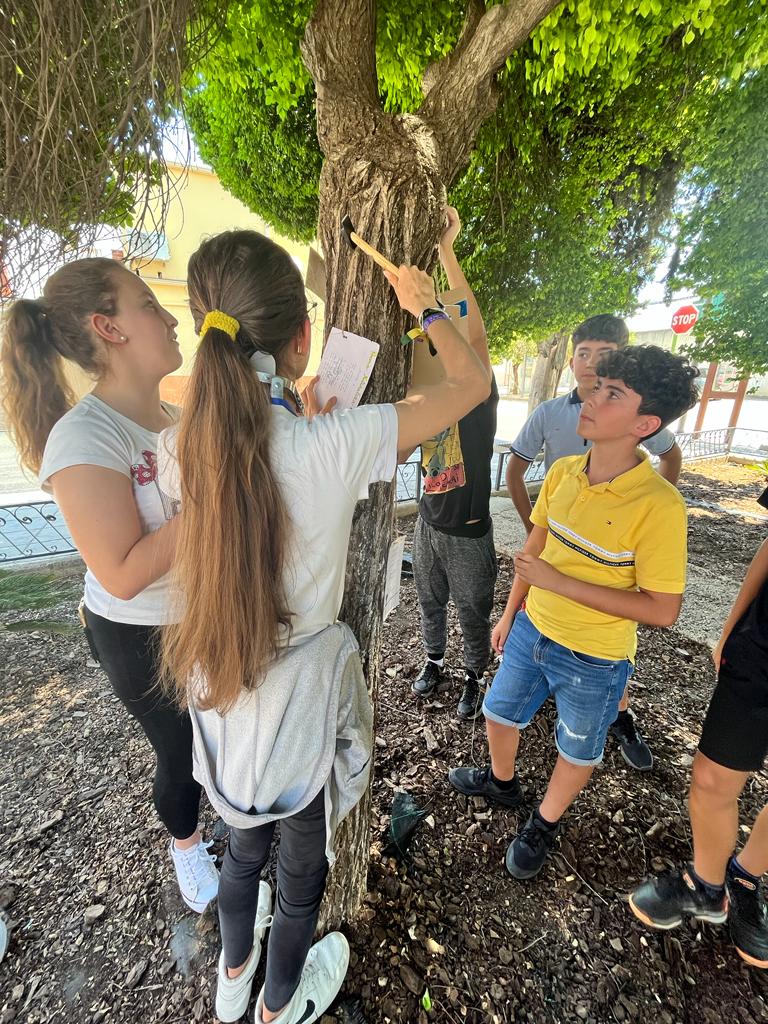 ies_mfr's tweet photo. “Un verso, un árbol” ✍️🌳,hemos celebrado el Día Mundial del Medio Ambiente 🌍, el alumnado ha escrito un poema y lo ha colgado en un árbol.#5Junio #DíaMundialdelMedioAmbiente @ProEdAldea @programaaldea @teachersforfuturespain #TeachersforFutureSpain* #ProInnovaAldea https://t.co/5TC9Wphs7T