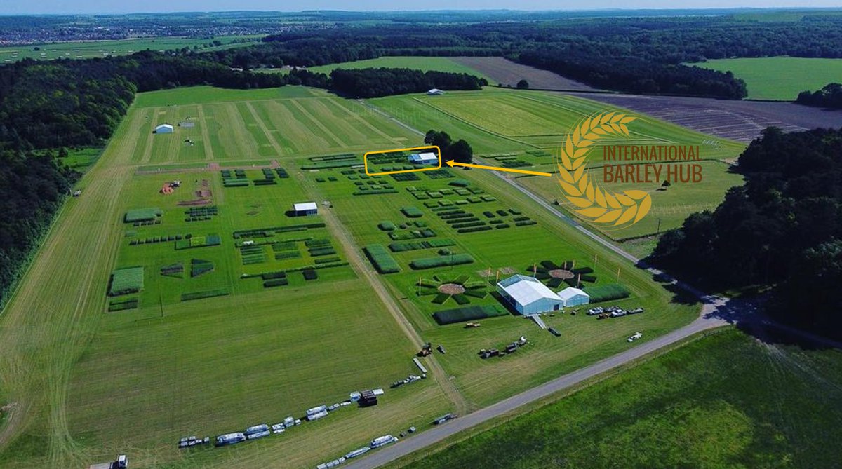 International Barley Hub (@intbarleyhub) on Twitter photo Plans and preparations @jameshuttoninst are in place for <a href="/CerealsEvent/">Cereals Event</a> next week. Please visit Stand 415 for barley plot walks, phenotyping app demos, <a href="/Bruichladdich/">Bruichladdich Distillery (Account Inactive)</a> and <a href="/LawBrewingCo/">Law Brewing Co</a> tastings and more! #cereals2023 #seeitatcereals #betterbarley Plans and preparations @jameshuttoninst are in place for <a href="/CerealsEvent/">Cereals Event</a> next week. Please visit Stand 415 for barley plot walks, phenotyping app demos, <a href="/Bruichladdich/">Bruichladdich Distillery (Account Inactive)</a> and <a href="/LawBrewingCo/">Law Brewing Co</a> tastings and more! #cereals2023 #seeitatcereals #betterbarley
