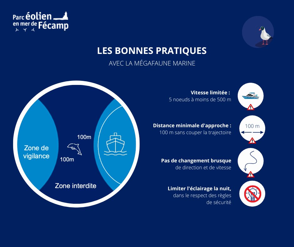 #EolienEnMerFecamp Envie de vous impliquer pour la préservation de la #biodiversité marine ? 🪸🐟 Nous vous invitons à participer aux bonnes pratiques et à faire remonter toute observation sur ObsEnMer ou NaturaList.
➡️obsenmer.org
➡️ shorturl.at/bhzB8