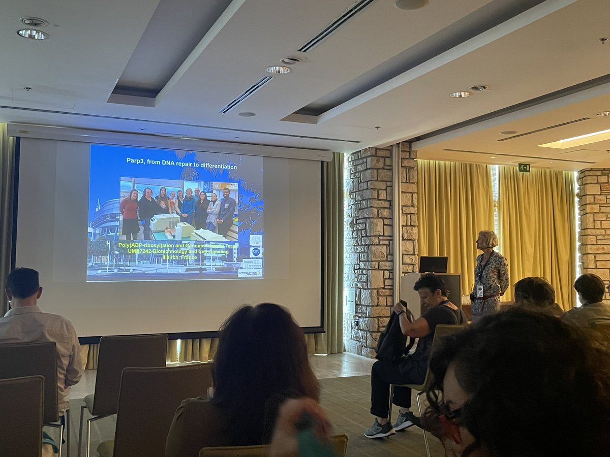 F. Dantzer lab tweet media