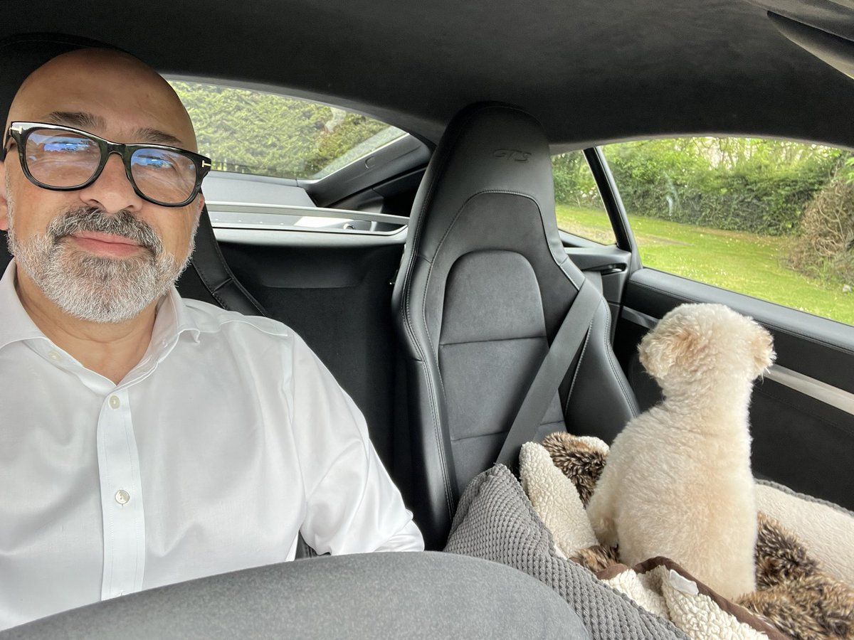 When you’re relieved your parapoodle isn’t driving today. 
#poodles #law