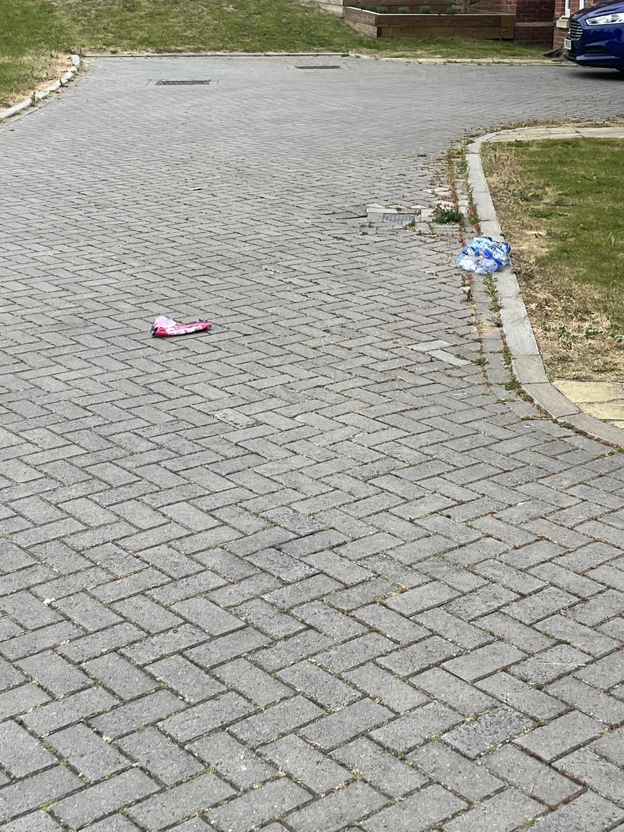 Emz_ski's tweet photo. Apparently @WokinghamBC think it’s ok to leave our street like this after bin collection! 

This isn’t the first time I’ve complained about this! @berkshire_live https://t.co/OaxKksTnHf