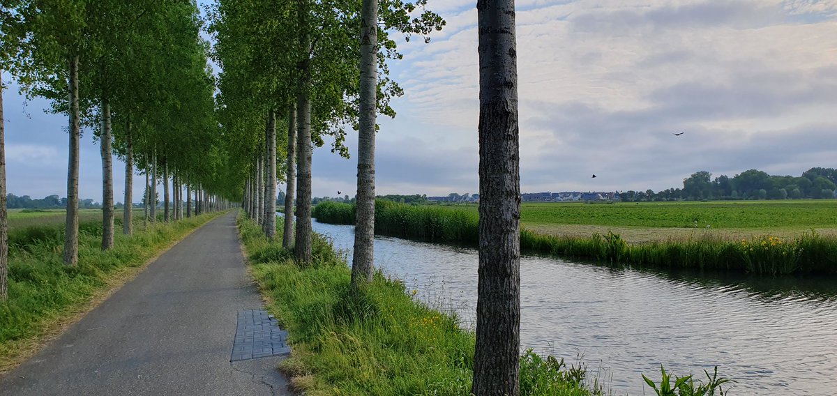 This morning run #Vleuten #Netherlands #GlobalRunningDay  #SAPCommunity