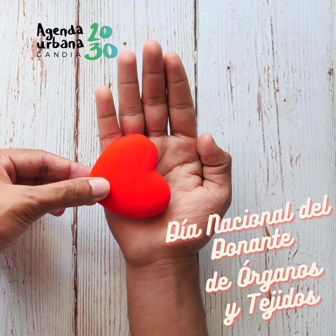 #España lleva más de 30 años consecutivos situada a la vanguardia mundial de la donación y trasplante de órganos

#OrganizaciónNacionalDeTransplantes #cadenadevida
#OrgulloONT #DíaNacionalDelTrasplante #DNT23