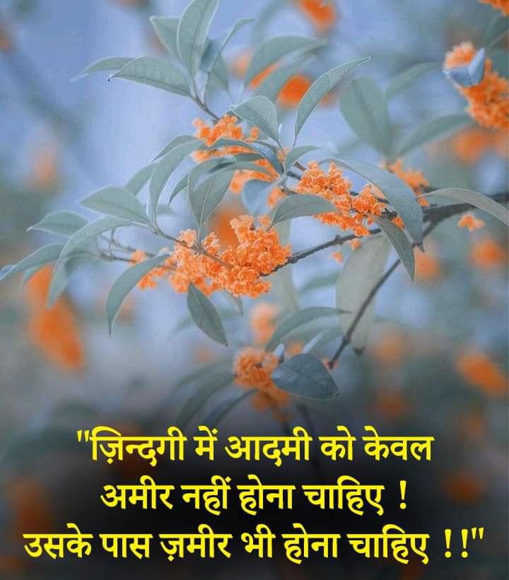 rawat1952's tweet photo. https://t.co/f2tiWZs0yk