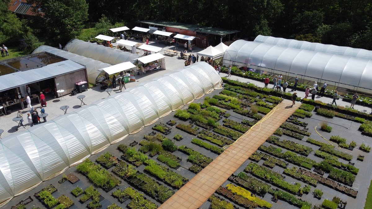 Komende zaterdag 10 juni is onze jaarlijkse Open Dag! Ontdek en ervaar onze inheemse zaden- en plantenkwekerij. Alles staat nu prachtig in bloei Van 10 tot 17 uur, gratis entree. Abbendijk 6 in Nijeberkoop. cruydthoeck.nl/opendag