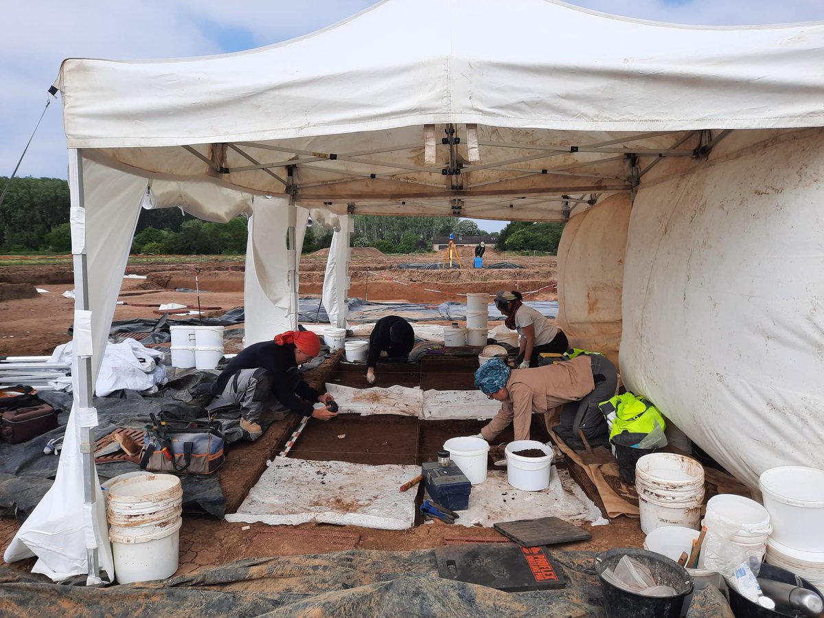 Les fouilles continuent sur ce site paléolithique et mésolithique, toujours en collaboration avec l'@Inrap 

#archeologie #fouilles #paleolithique #mesolithique #orleans