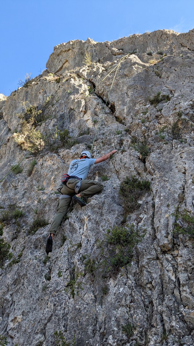 TAFAD/TEAS Ui1 tweet media