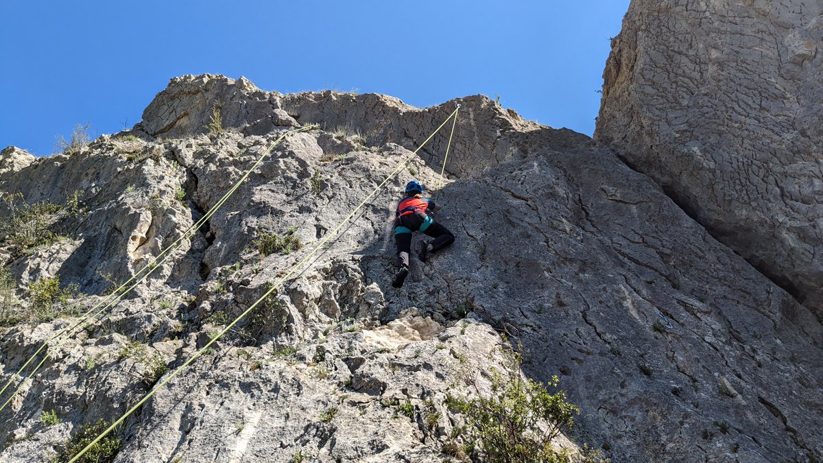 TAFAD/TEAS Ui1 tweet media