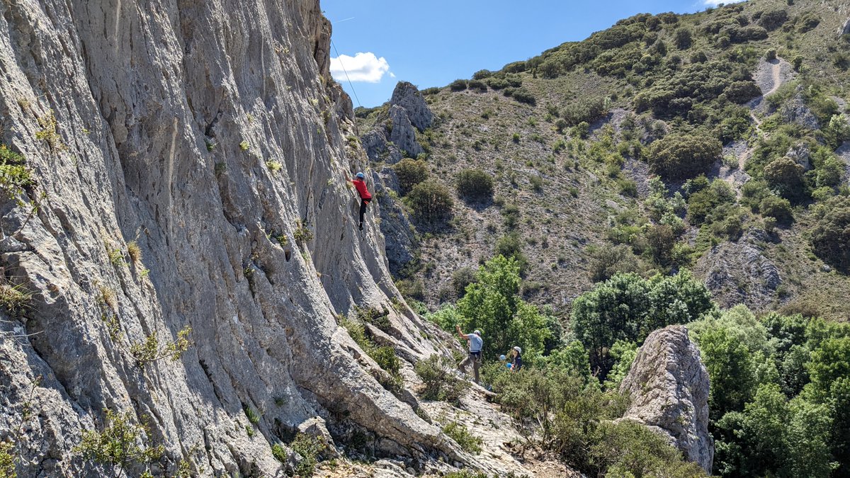 TAFAD/TEAS Ui1 tweet media