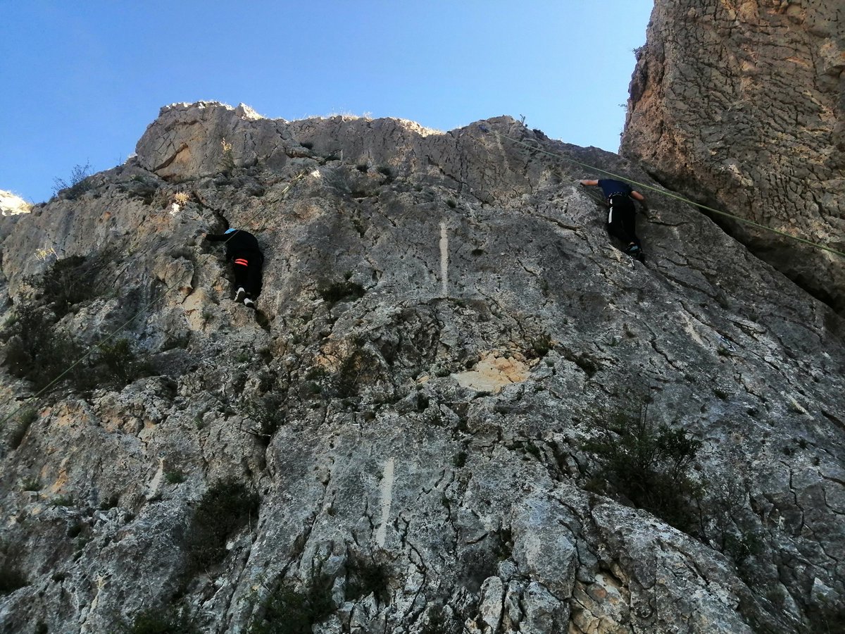 TAFAD/TEAS Ui1 tweet media