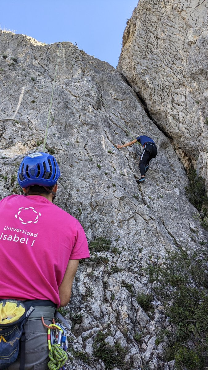 TAFAD/TEAS Ui1 tweet media