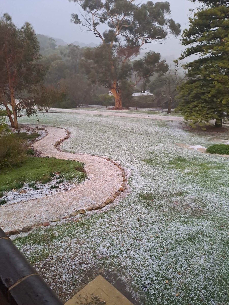 <a href="/AmeliaMulcahy7/">Amelia Mulcahy</a> A freak hailstorm has transformed parts of the Adelaide Hills into a winter wonderland, including at Littlehampton. Details on more showers ahead in 7NEWS Adelaide at 6pm. Join the 7NEWS weather group: 7news.link/7NEWSweather #7NEWS