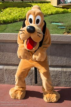 GuimonacoOk's tweet photo. Saludar a algunos sujetos por el #DiaDelPeriodista es como saludar al tipo que está dentro del traje del perro Pluto por el Día del Animal

En ambos casos se trata de impostores dentro de un disfraz https://t.co/6dCo5EANAy