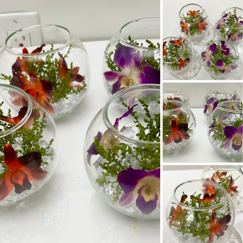 flora_fountain's tweet photo. Preserve denfare, STEMMED Preserved flower Bowls, https://t.co/fPTSp3TNM0 @etsymktgtool https://t.co/CUNROb3yCY