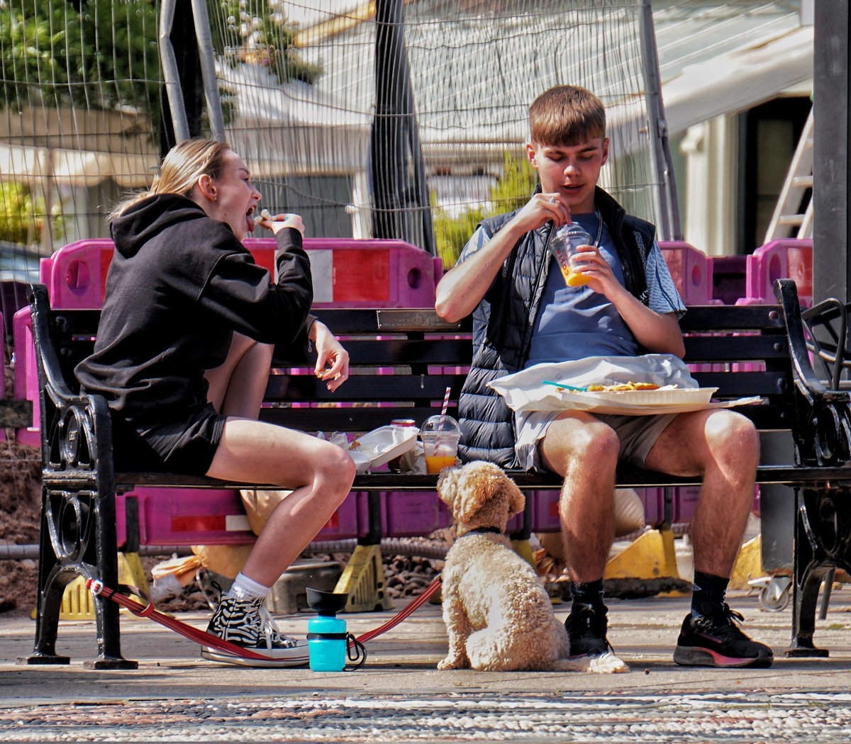 'Please mum .... gi' us a bite '
#dog #fishandchips #Lytham #seaside #streetphotography #sonya6300