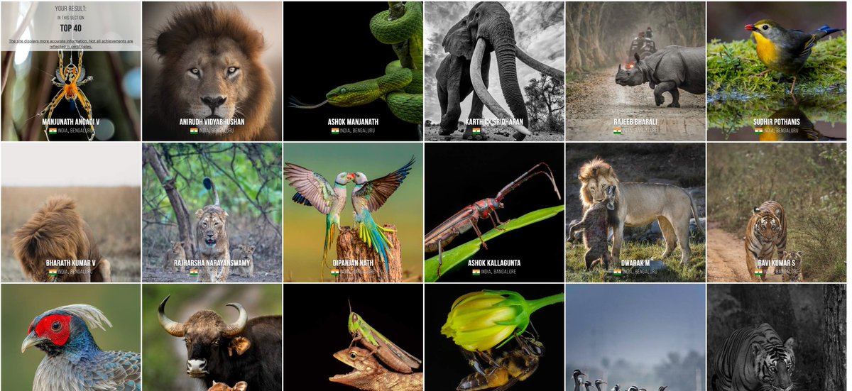 Happy to share that my photo
1. Reached 2nd stage
2. Top 20 Bengaluru Photographers
3. Top 300 Macro Photographers

Out of
1. 104.7 K - People
2. 445.7K - Photos
3. 174 - Countries
4. 123.3M - Votes

#35awards #macrophotography