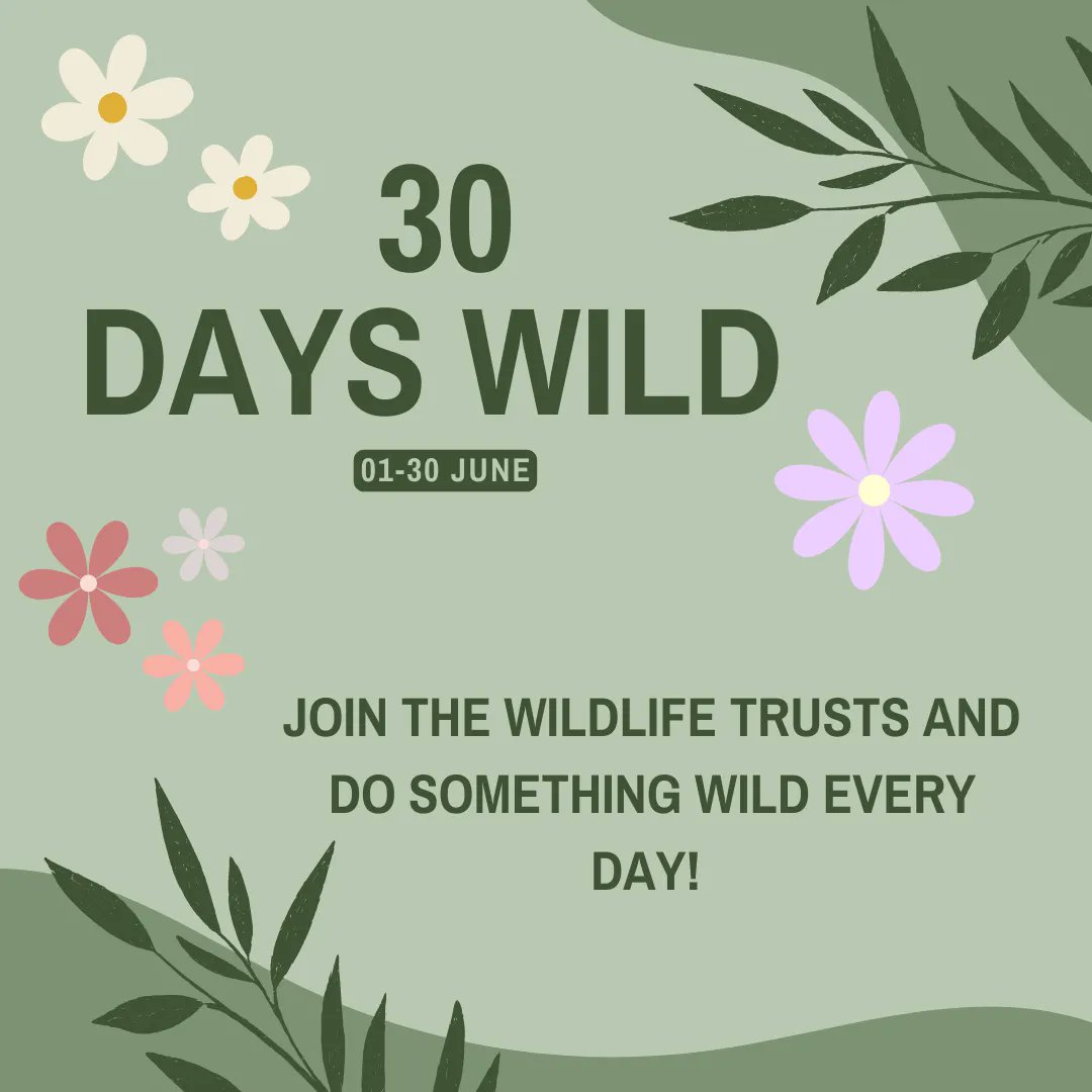 Join The Wildlife Trusts in #30DaysWild in doing one wild thing a day for the month of June! 🐞 Find out more information here: buff.ly/3uchk7c  @WarwickshireWildlifeTrust