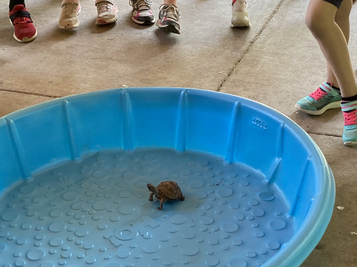 aestohs's tweet photo. We had a blast on our Field Trip to Ellanor C. Lawrence Park @NOVA_Parks to learn about amphibians and reptiles. We pet the albino corn snake, Jellybean, and met some turtles! #teacherlife https://t.co/mTqqzTk4pc