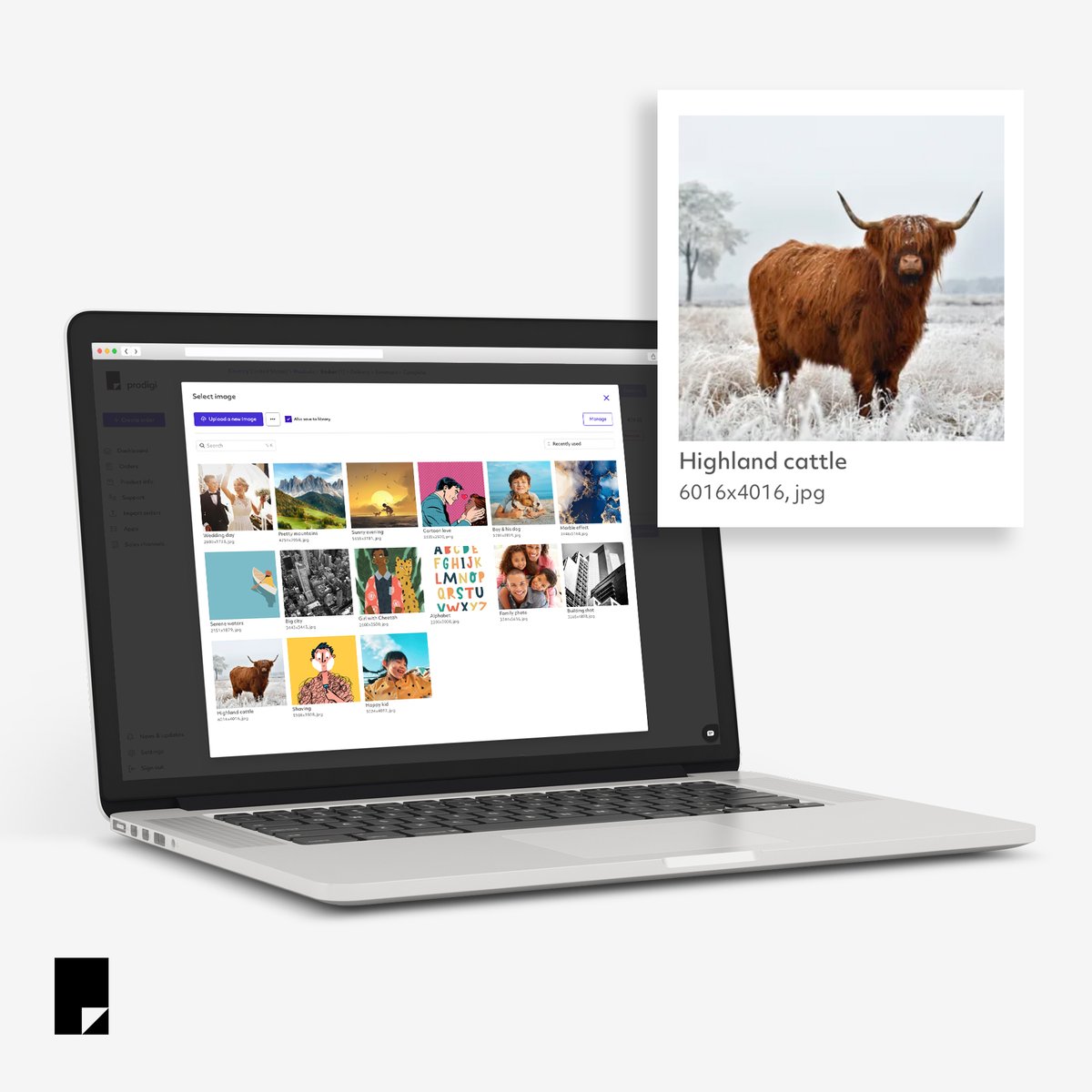 prodigi_group's tweet image. Save and store your designs in our new image library – now available in the Prodigi dashboard!

Enjoy unlimited storage space, create orders on the go and manage your designs all in one place.

Read more 👉 prodigi.com/faq/image-libr…

#Prodigi #PrintOnDemand