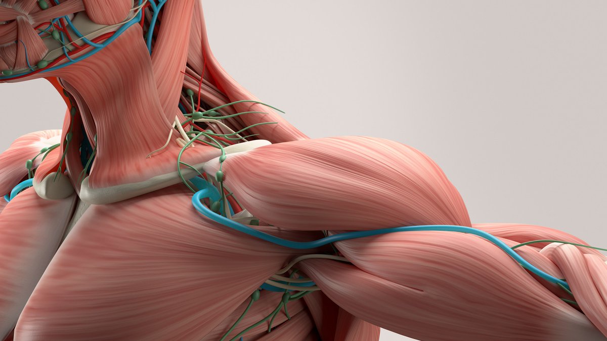 RFI Priorité Santé tweet media