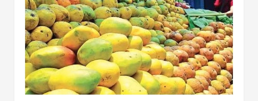 Fruitful Farewell: Mango and Jackfruit Recipes
shesightmag.com/fruitful-farew…
shesightmag.com/shesight-june-…
 #FruitfulFarewell #MangoRecipes #JackfruitRecipes #SummerDelights #TropicalFruits #SeasonalRecipes #FruitRecipes #MangoLove #JackfruitLove  #FruitfulFusion #SheSight