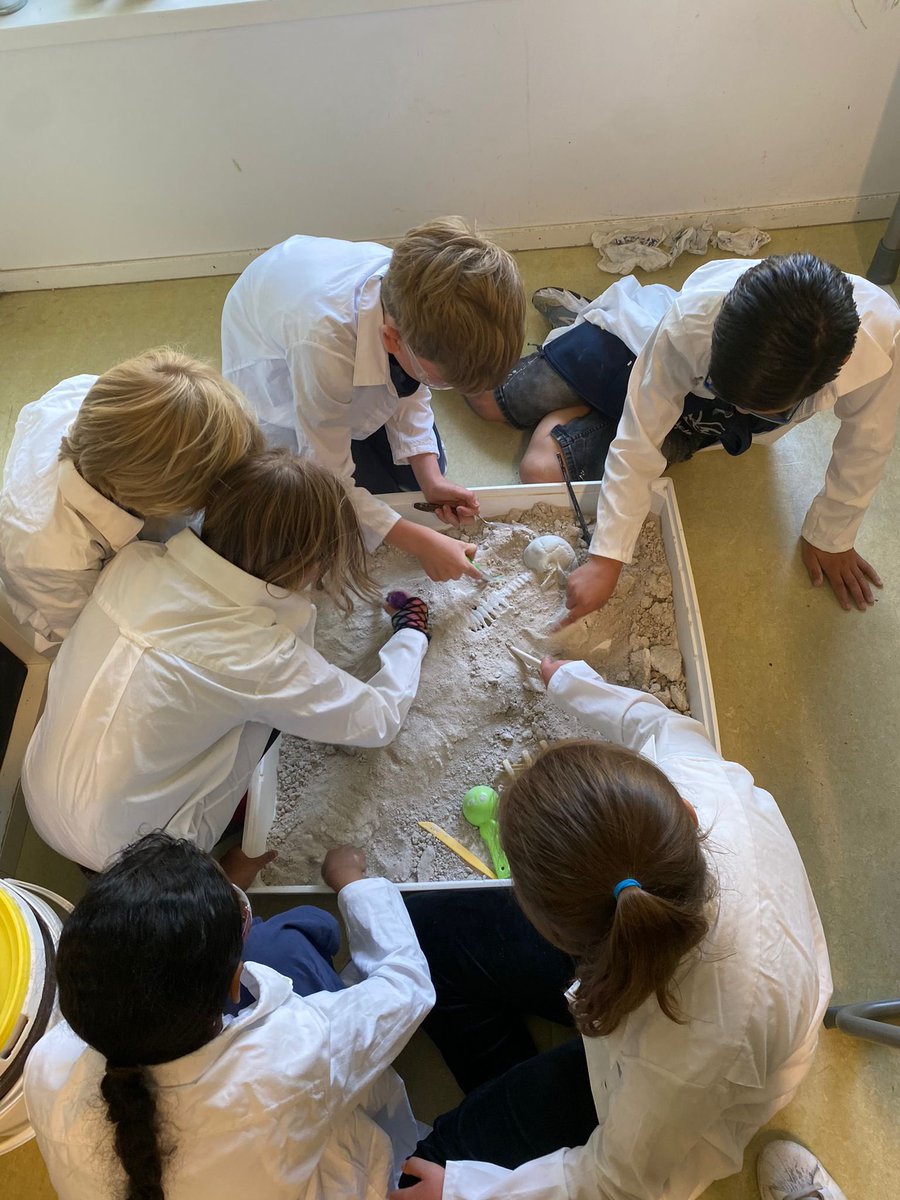 blauwaventurijn's tweet photo. 🦣 Echte archeologen in groep 4&5. Ze duiken in de prehistorie. 🦣 #thema #middenbouw #onderzoeken #samen #archeoloog #botten #prehistorie https://t.co/VAFenaAaKQ