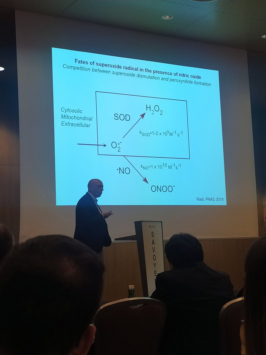 Prof Rafael Radi giving us a glimpse into the world of peroxynitrate chemistry during the SFRR-E Basic Science Award Lecture. Huge congrats!!!