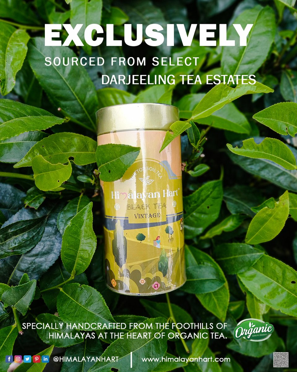 himalayanhart's tweet photo. A Cup of Darjeeling Tea will Change morning experience "Better" to "Better"☕😇
#tea #darjeelingtea #greentea #blacktea #smallbusinessowner #australia #sydney #love #happy #london #melbourne #explorepage #uk #indiantea #himalayas #liverpool #greatbritain #Manchester #usa #newyork https://t.co/uar1yBLExv