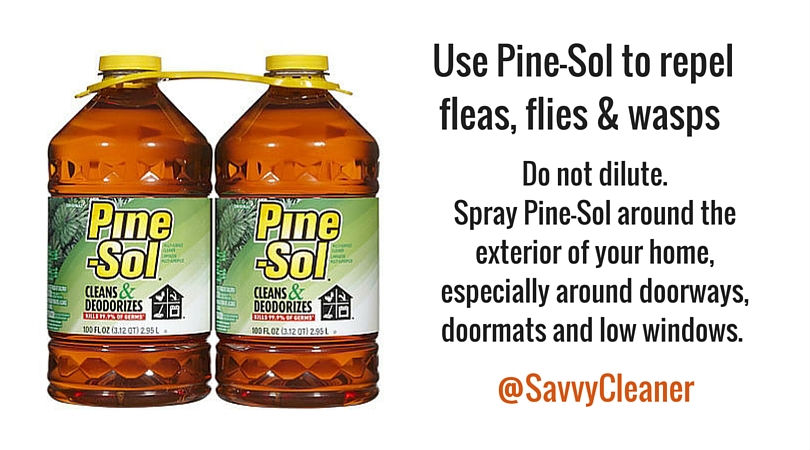 #CleaningHacks #Cleaningup fleas, flies & wasps amzn.to/1SB9Zcr