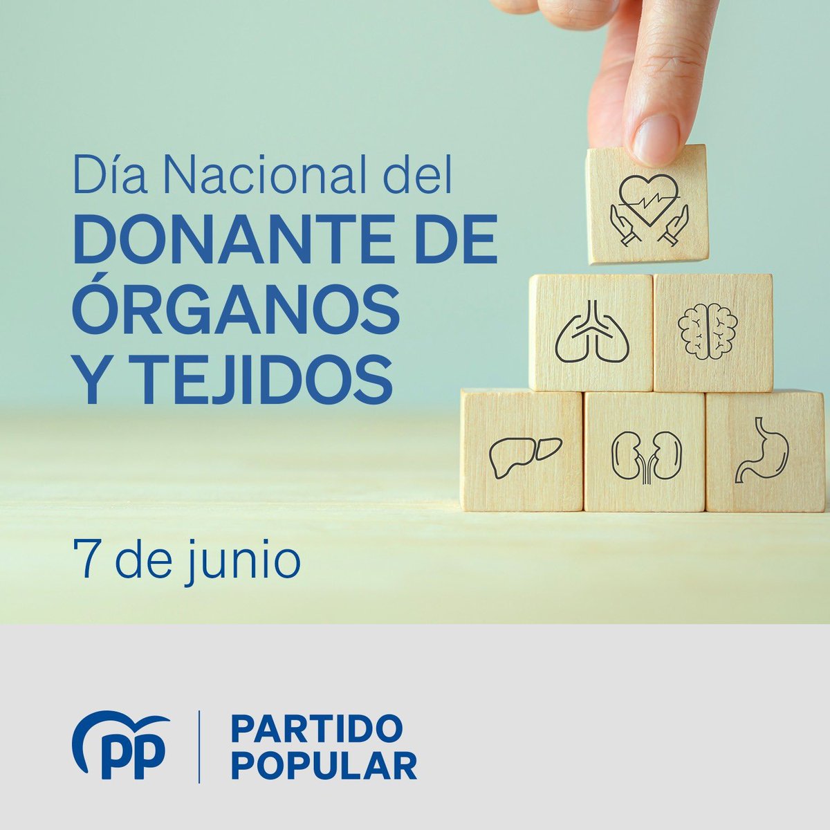 ❤️🏥 Donar es un acto de solidaridad y generosidad que salva las vidas de miles de personas que esperan un trasplante. 

Gracias a todos los donantes, a sus familias y a los profesionales que lo hacen posible.  

#DíaNacionalDelDonante