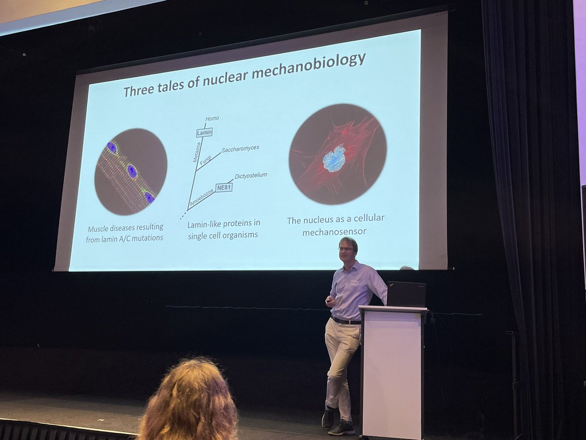 Kirby Lab (@kirbylab_amsumc) on Twitter photo Jan giving a great keynote lecture at this years EuroIF meeting!
<a href="/LammerdingLab/">Lammerding Lab</a>
<a href="/EuroIF2023/">European Intermediate Filament Meeting 2023</a> Jan giving a great keynote lecture at this years EuroIF meeting!
<a href="/LammerdingLab/">Lammerding Lab</a>
<a href="/EuroIF2023/">European Intermediate Filament Meeting 2023</a>