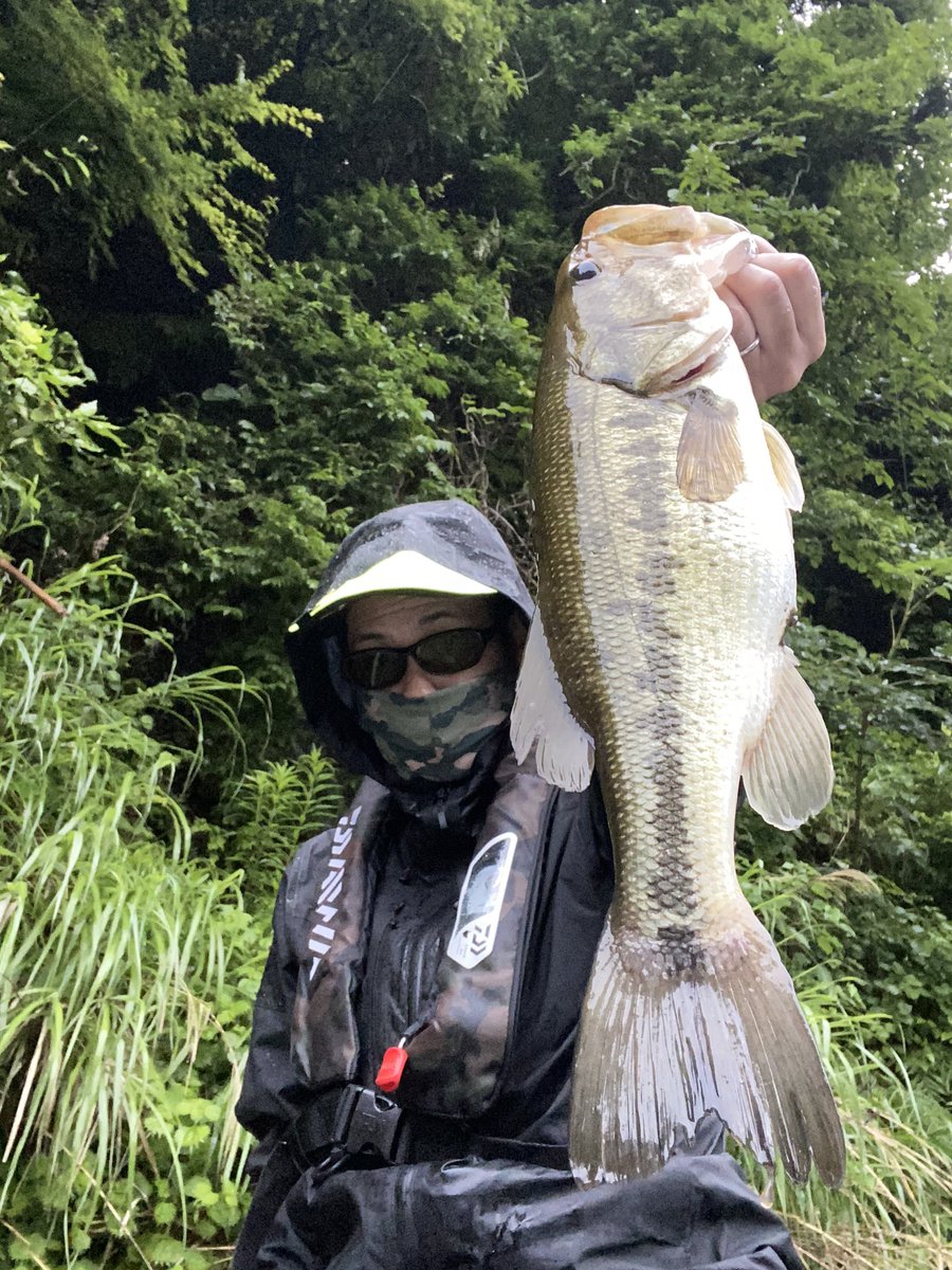 keee_suke's tweet photo. 6.7三島湖

SPELLBOUNDCORE 
SCS-63-1/2XUL-ST
RC LIVING3.9
SUPERIOR MⅡフック#6
#engine_fishing 
#bass_ishii https://t.co/zvF79l0kO5