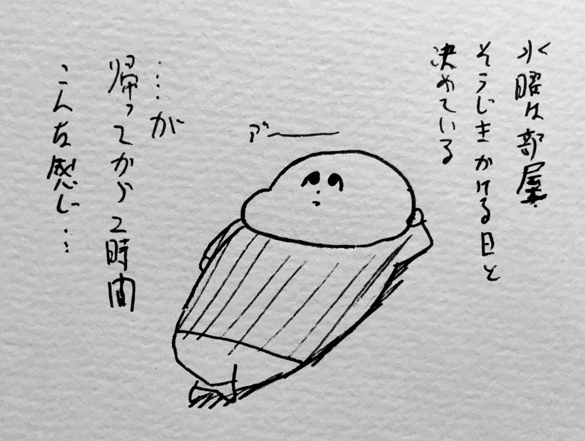 掃除機かける日