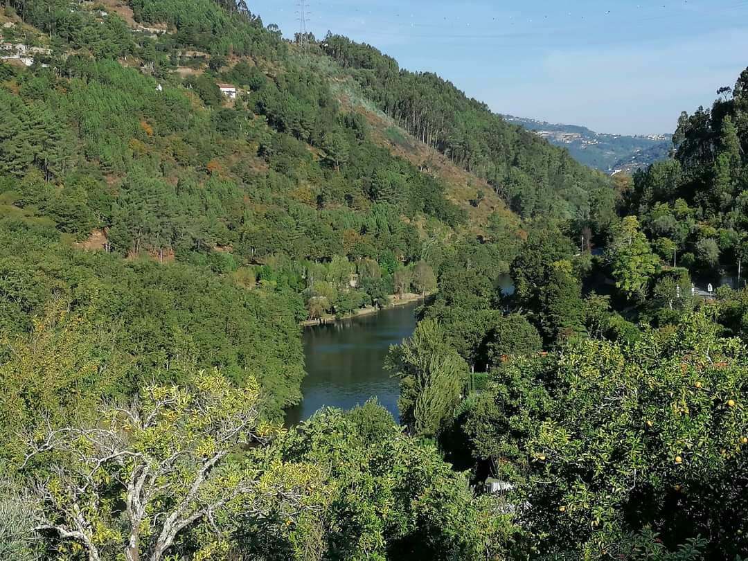 skymanuelima's tweet image. A aldeia de Pias é uma povoação da freguesia e município de Cinfães, situada num vale entre 150 e 200 metros de altitude na margem esquerda de um dos rios mais limpos da Europa, o Rio Bestança e a sul do Rio Douro. #Pias #Cinfães #RioBestança #aldeia #travelphotography #viagens