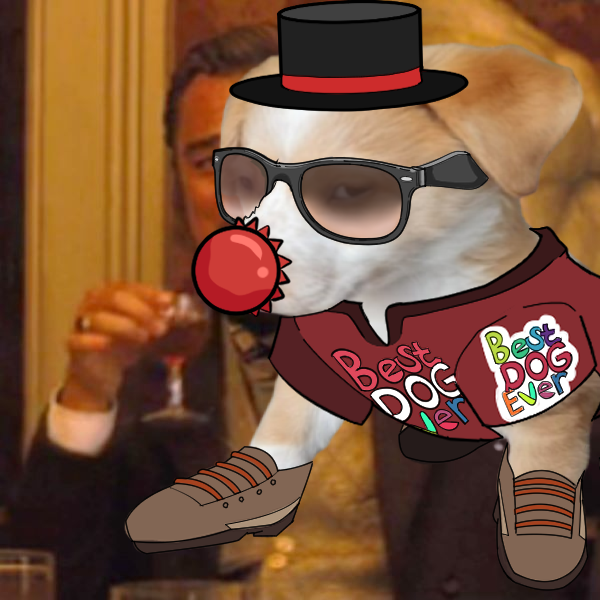 blooofworld's tweet photo. Jump into the Chinkies cult. We have memes. And NFTs. And a crazy dog. What more do you need? #JoinChinkies #Tokenomeme #Memes #NFTs #memecoins https://t.co/v70yzwjMzf