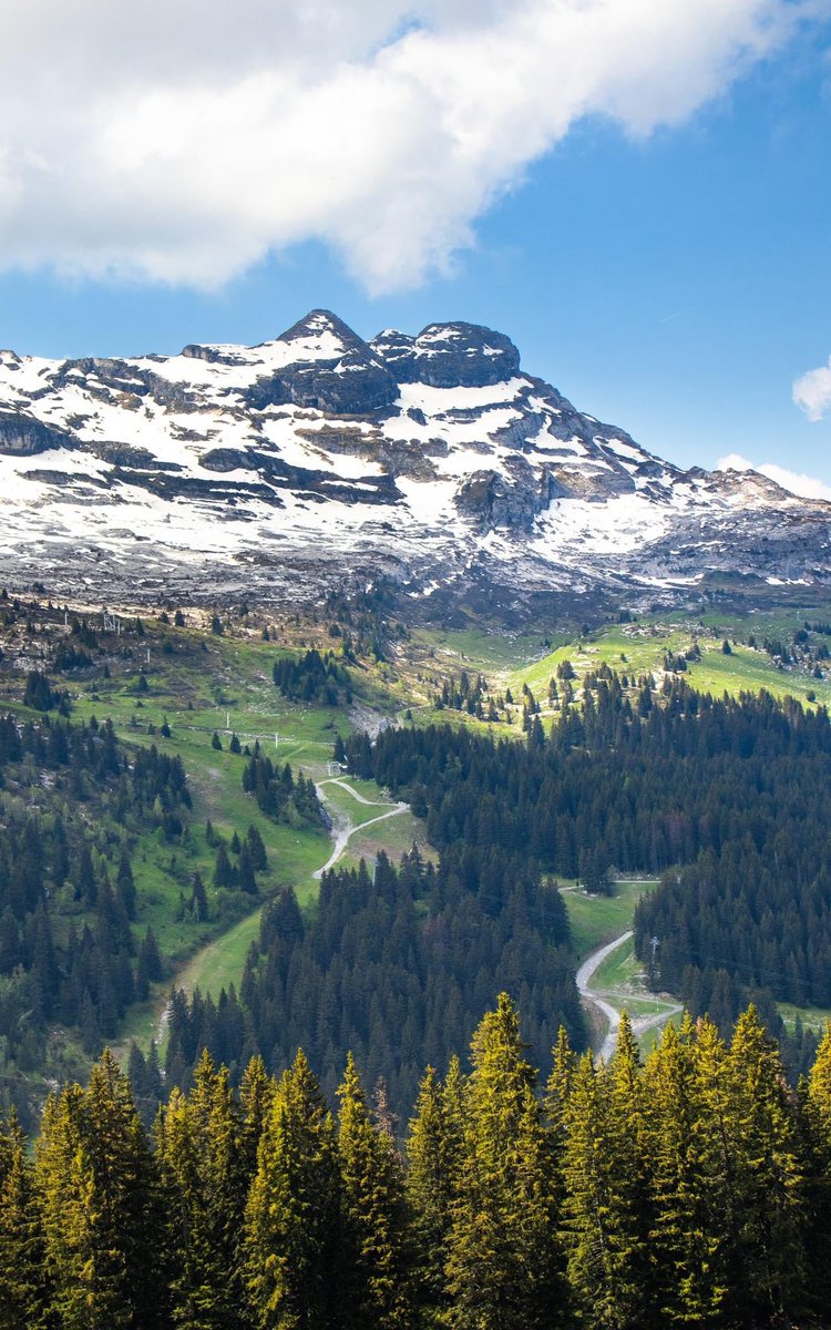 FLAINESki's tweet photo. Lorsque le printemps laisse tout doucement place à l’#ete 🥰🥰☀️☀️
#cacestflaine #flaineletecestgratuit #activitesgratuites #famille #enfants #ete23 https://t.co/BJH8LmnEfH
