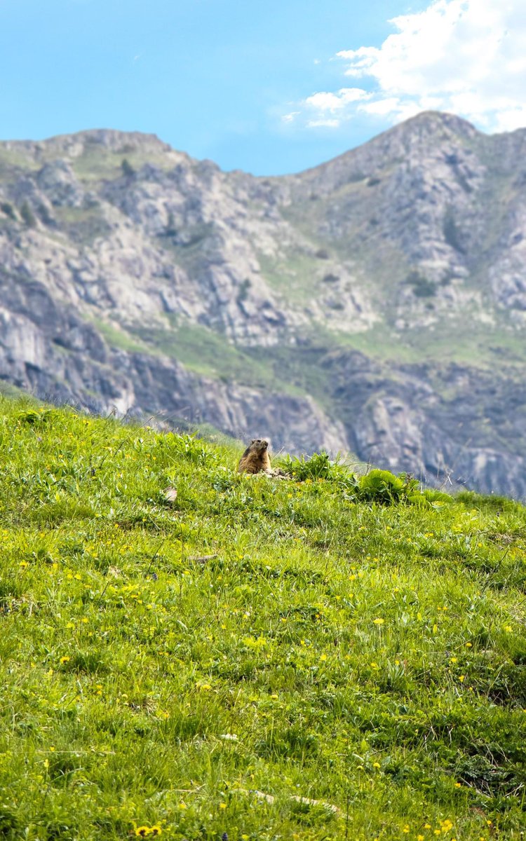FLAINESki's tweet photo. Lorsque le printemps laisse tout doucement place à l’#ete 🥰🥰☀️☀️
#cacestflaine #flaineletecestgratuit #activitesgratuites #famille #enfants #ete23 https://t.co/BJH8LmnEfH