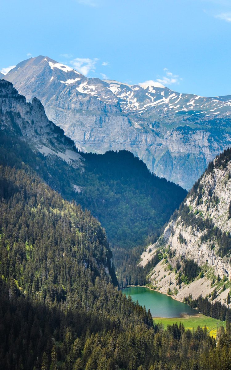 FLAINESki's tweet photo. Lorsque le printemps laisse tout doucement place à l’#ete 🥰🥰☀️☀️
#cacestflaine #flaineletecestgratuit #activitesgratuites #famille #enfants #ete23 https://t.co/BJH8LmnEfH