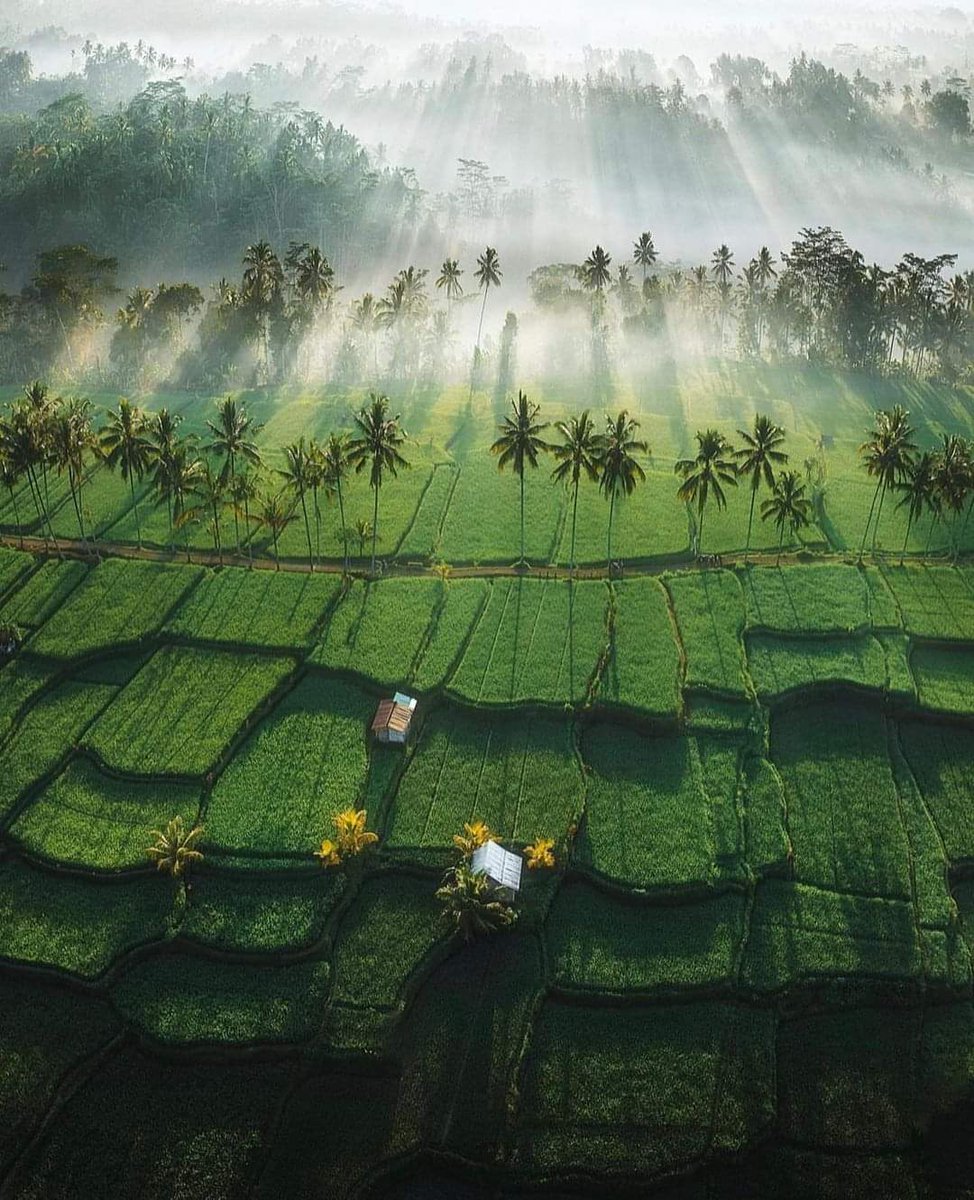 La beauté de l'Indonésie...