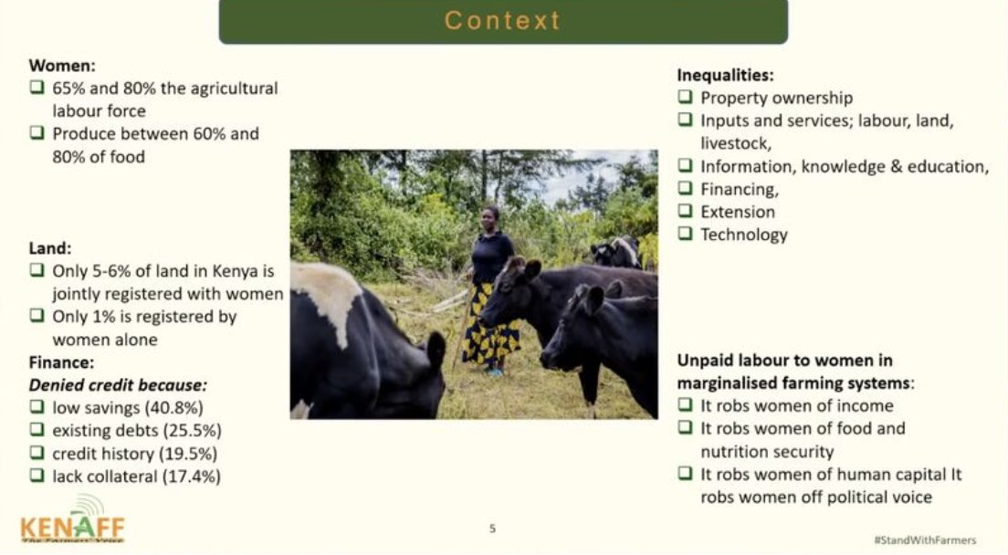 CHYouth4Climate's tweet image. Unveiling stark #GenderDiscrimination in Kenya's #Agriculture 🌱 Women lead in labor &amp;amp; knowledge, yet lack land rights &amp;amp; finance access 💔 @ #SB58, Loureen Awuor shines light on solutions: Gender-responsive climate finance, grassroots orgs support, data use &amp;amp; more #ClimateAction