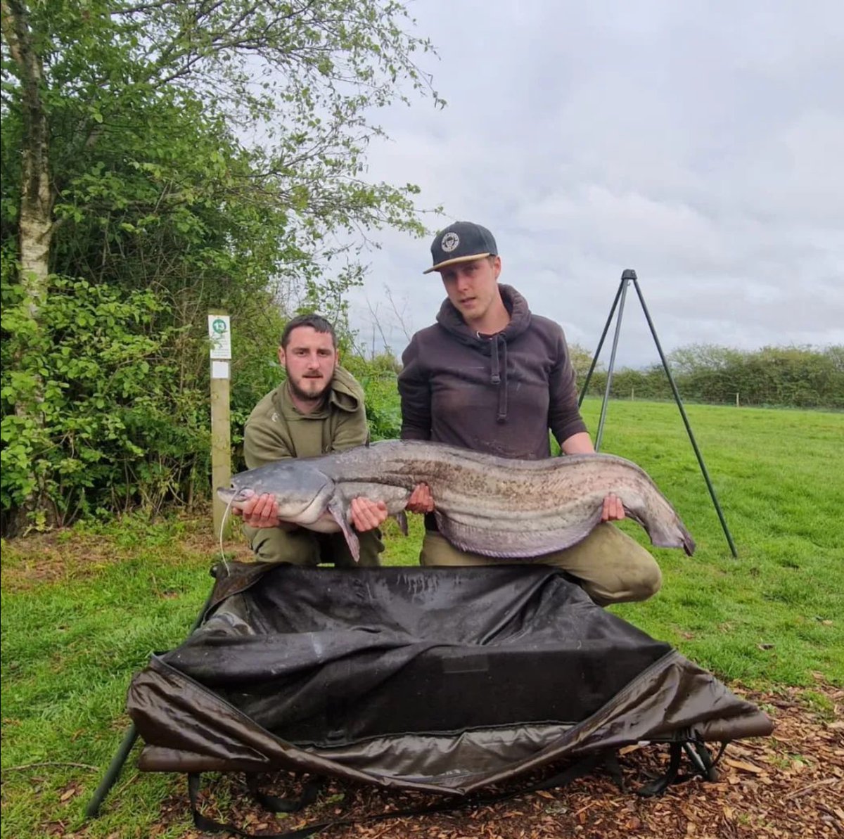 😱 OMG, check THAT out! A 48hr session for @tyanteney_hoboarmour brought in 2️⃣ Carp, and this 50lb Catfish!! Nice job, guys!

#GetArmoured 💀 #Outdoors #Lake #Fish #Carp #Fishing #CarpFishing #FishingLife #Karpfen #CarpFishingUK
