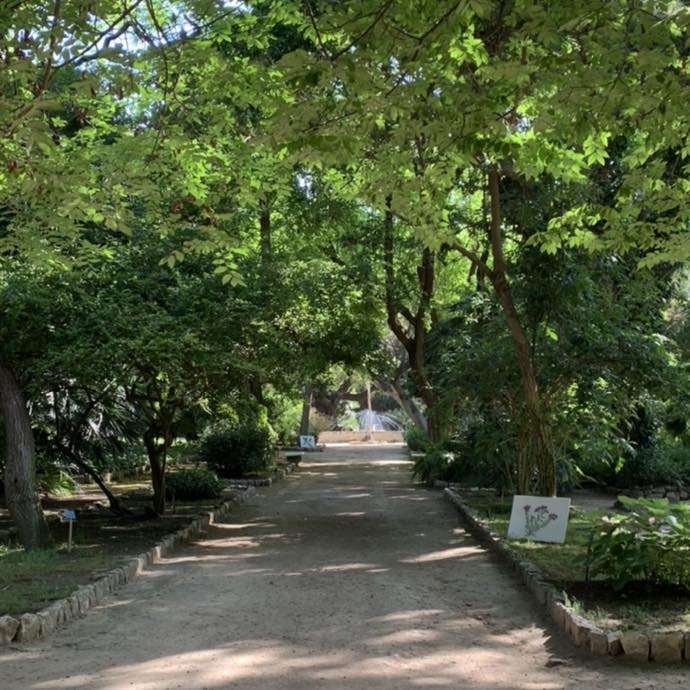 📷 UNA PREZIOSA NOVITÀ | Già da qualche giorno l’apertura dell’Orto Botanico è prolungata fino alle 20, e resta in vigore l’orario continuato a partire dalle 9 del mattino.

#hbk #hbklife