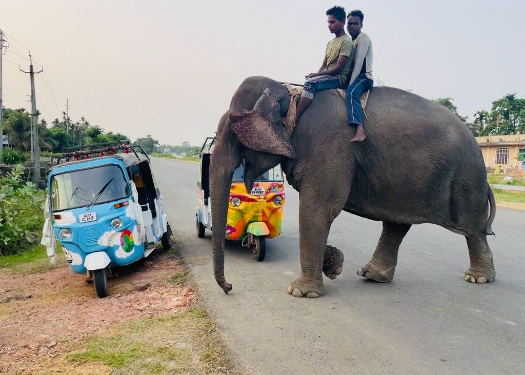 rickshawrunlive's tweet photo. Team High Maintenance have been learning the Indian Highway Code. 

#theadventurists #rickshawrun #rickshawrunnortheast https://t.co/a4LYxrJyFX