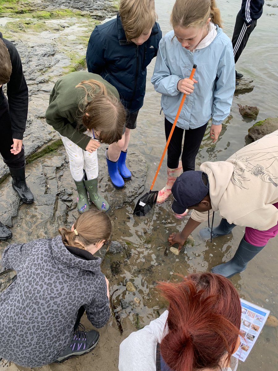 Lakeside_school's tweet photo. Arrived at RHB and already discovering what lives at the beach. @robinshoodbay @HornsbyTravel #rockpoolfun https://t.co/EXxGL2jDHf