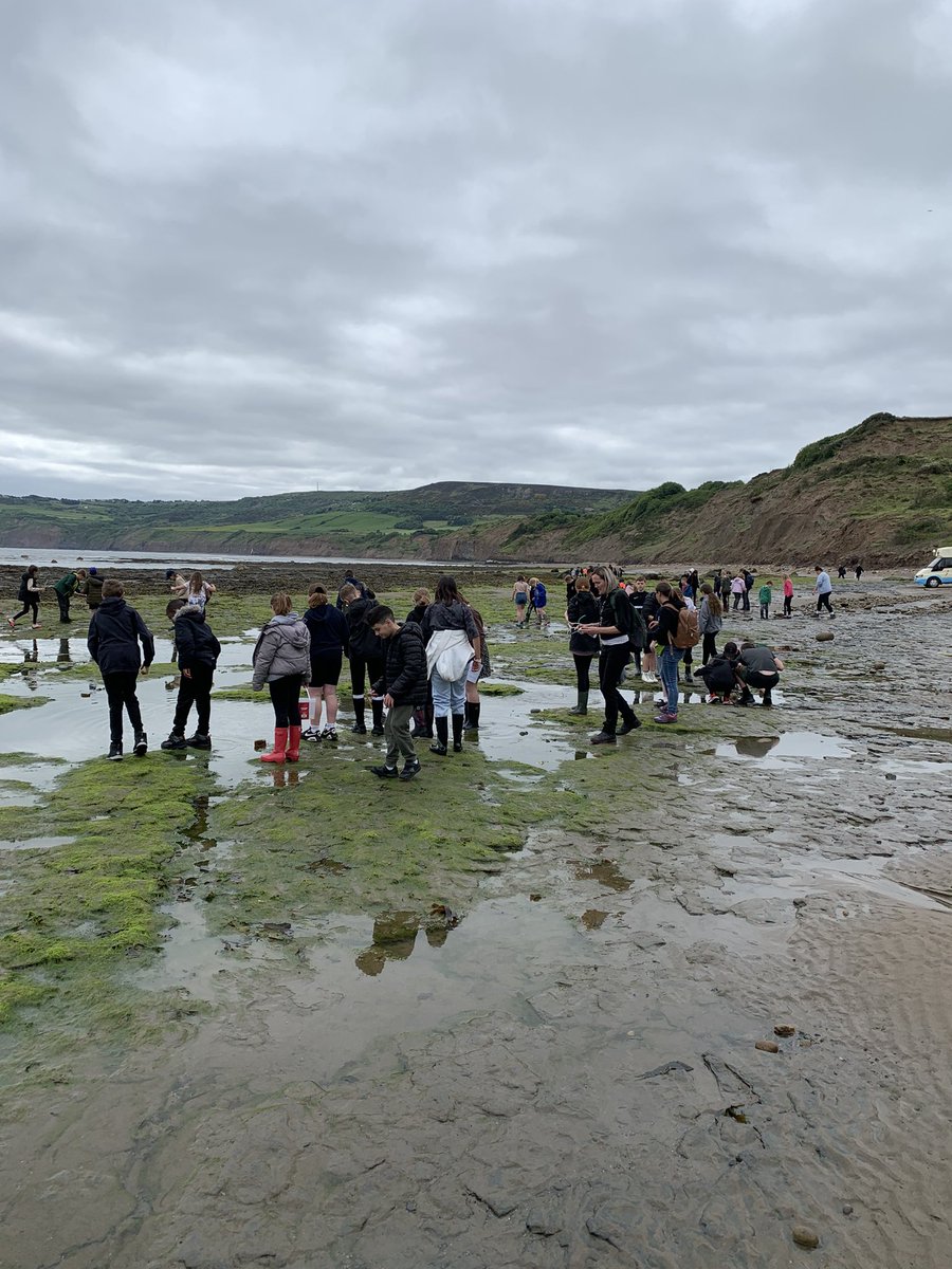 Lakeside_school's tweet photo. Arrived at RHB and already discovering what lives at the beach. @robinshoodbay @HornsbyTravel #rockpoolfun https://t.co/EXxGL2jDHf