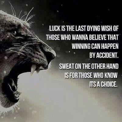 CHS Lions Field Hockey (@chslionsfieldh1) on Twitter photo You got this <a href="/chslionssb/">CHS Softball</a> , <a href="/Girls_CHS_Lax/">CHS Girls Lacrosse</a> & <a href="/LionsBoysLaX/">CHS Boys Lacrosse</a>!
Let’s Go Lions! 🥎🥍🥍 You got this <a href="/chslionssb/">CHS Softball</a> , <a href="/Girls_CHS_Lax/">CHS Girls Lacrosse</a> & <a href="/LionsBoysLaX/">CHS Boys Lacrosse</a>!
Let’s Go Lions! 🥎🥍🥍