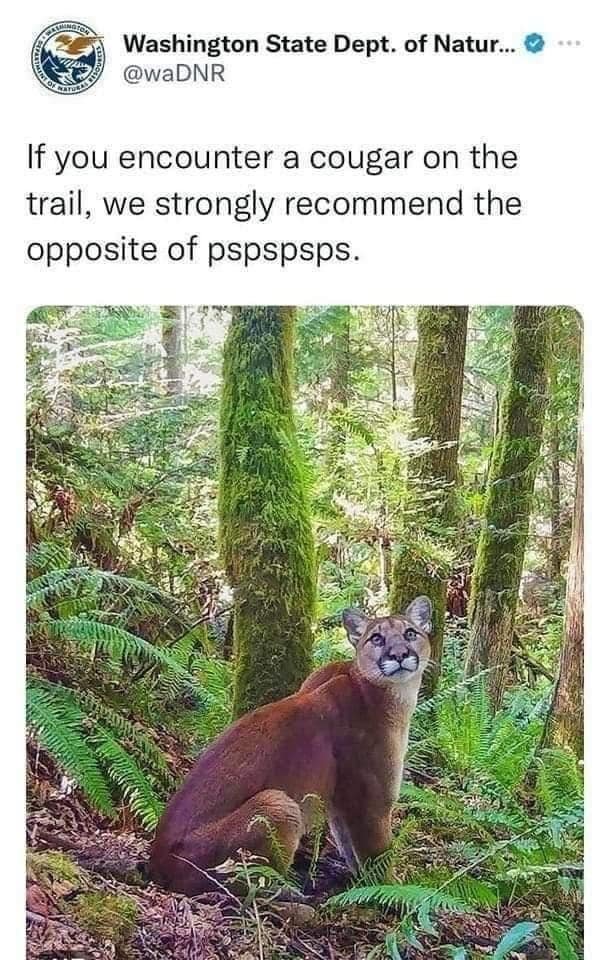 i_nedidev's tweet photo. @DarkViperAU If only you'd know this during Mr.Рhilips on that fateful day ... https://t.co/1oYL4H1cCw