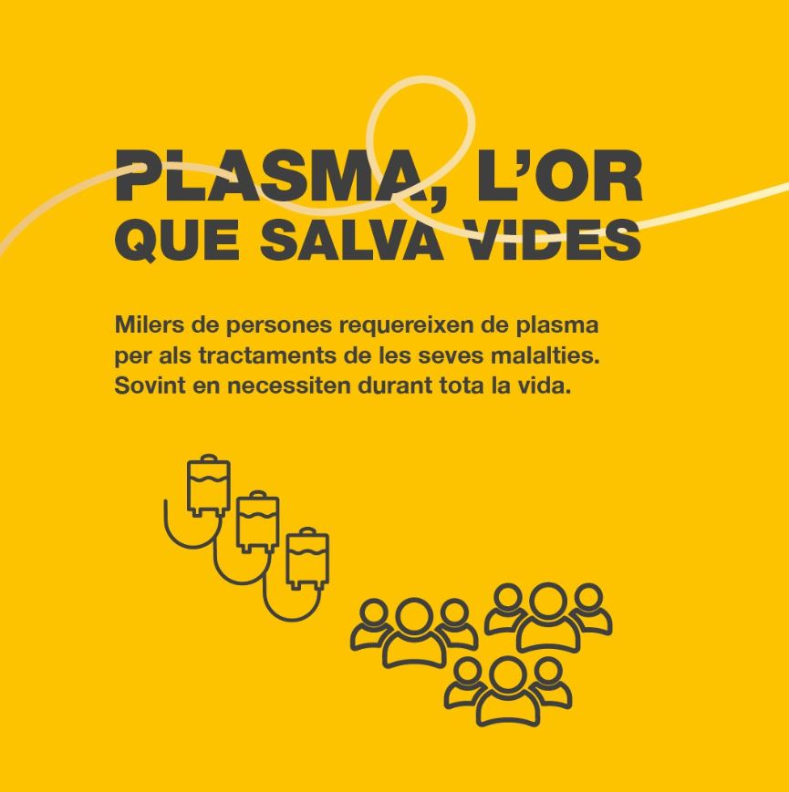 TorregrossaAj's tweet photo. 💪 Uneix-te al repte de vida de @donarsang!

Milers de persones requereixen de plasma per als seus tractaments i des de @salutcat es volen aconseguir 50.000 donacions anuals el 2025 per garantir-los.

Suma't al repte d'or 2025! Més informació ➡️ https://t.co/qf1S6jMyD0 https://t.co/24AchWJjU3